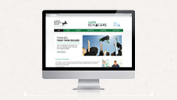 Web design